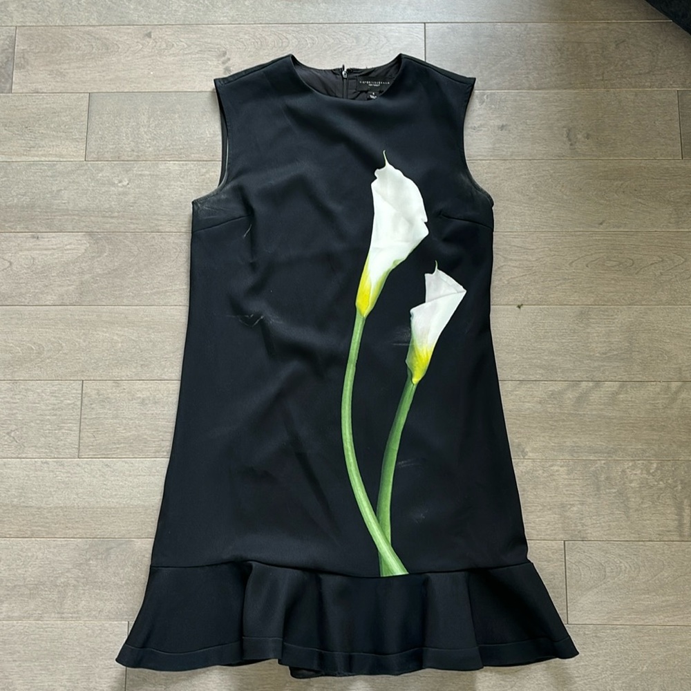 Victoria Beckham for Target Dress